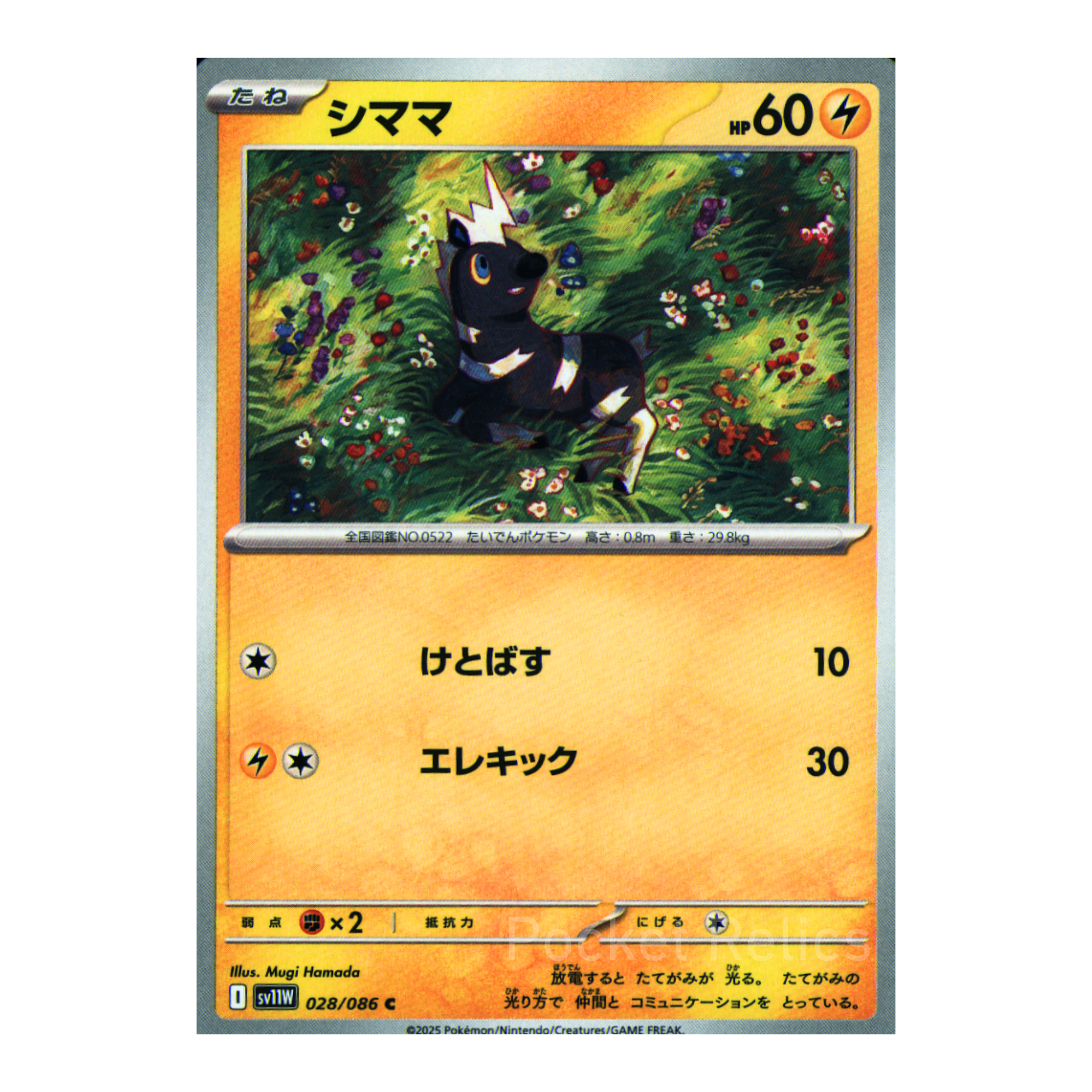 White Flare SV11w – Complete Normal Card Set - 86 Japanese Cards (Normal + RR)