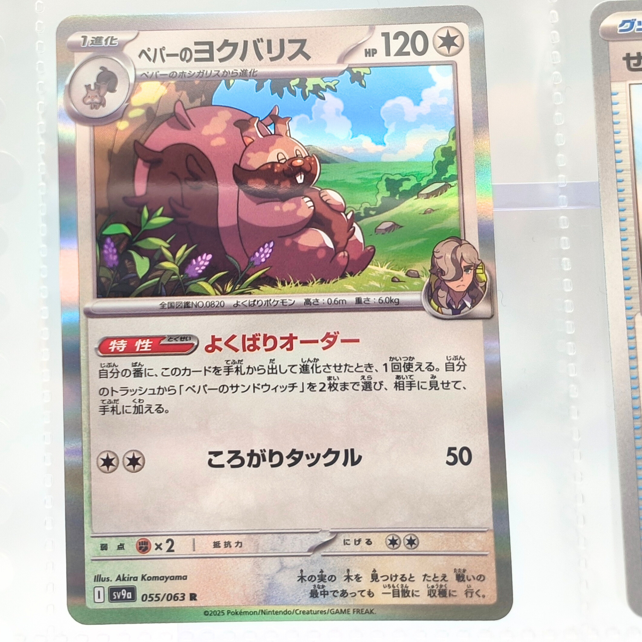 Heat Wave Arena SV9a – Complete Normal Card Set - 63 Japanese Cards (Normal + RR)