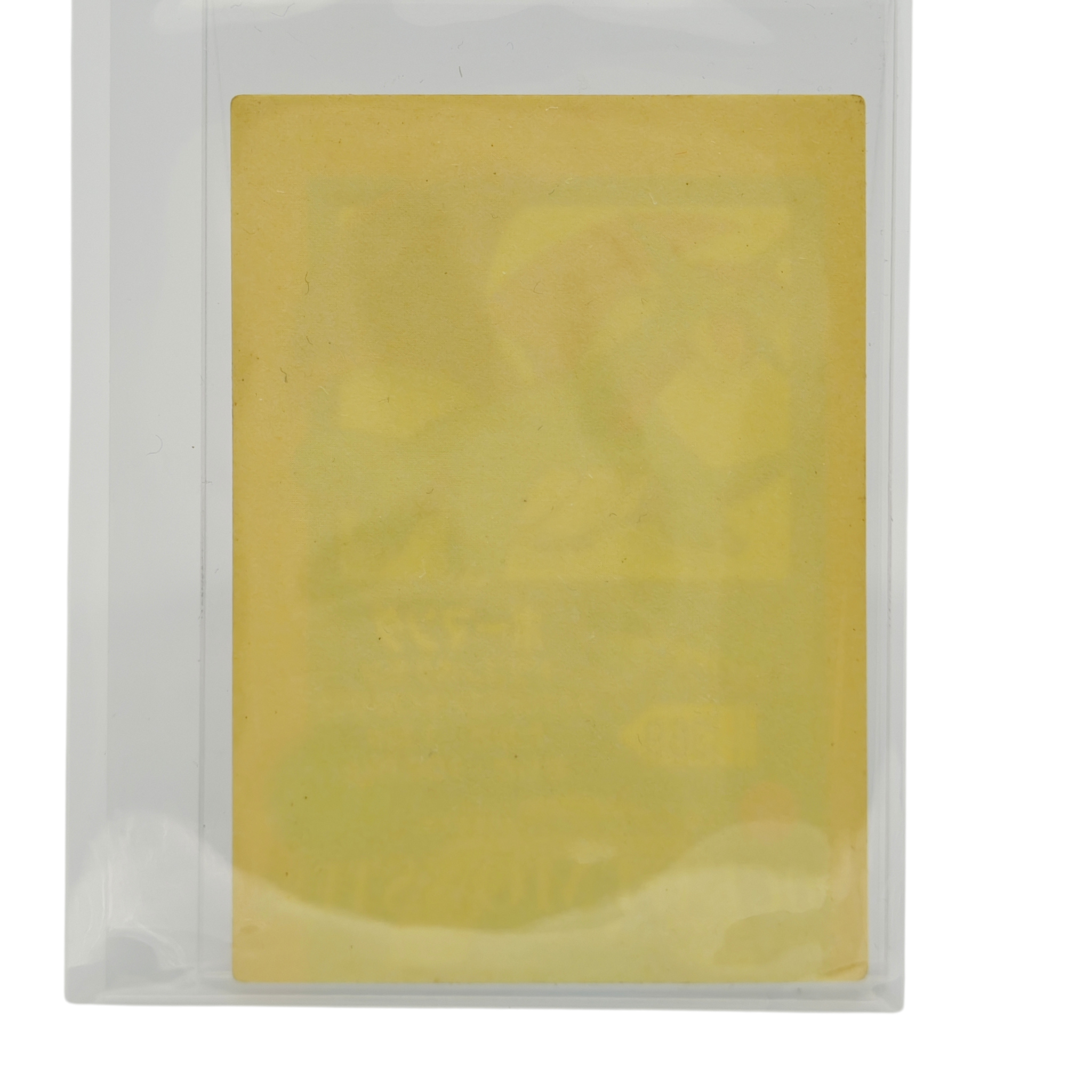 Salamence - 2005 Collectible Vintage Sticker 369 – Japan Exclusive