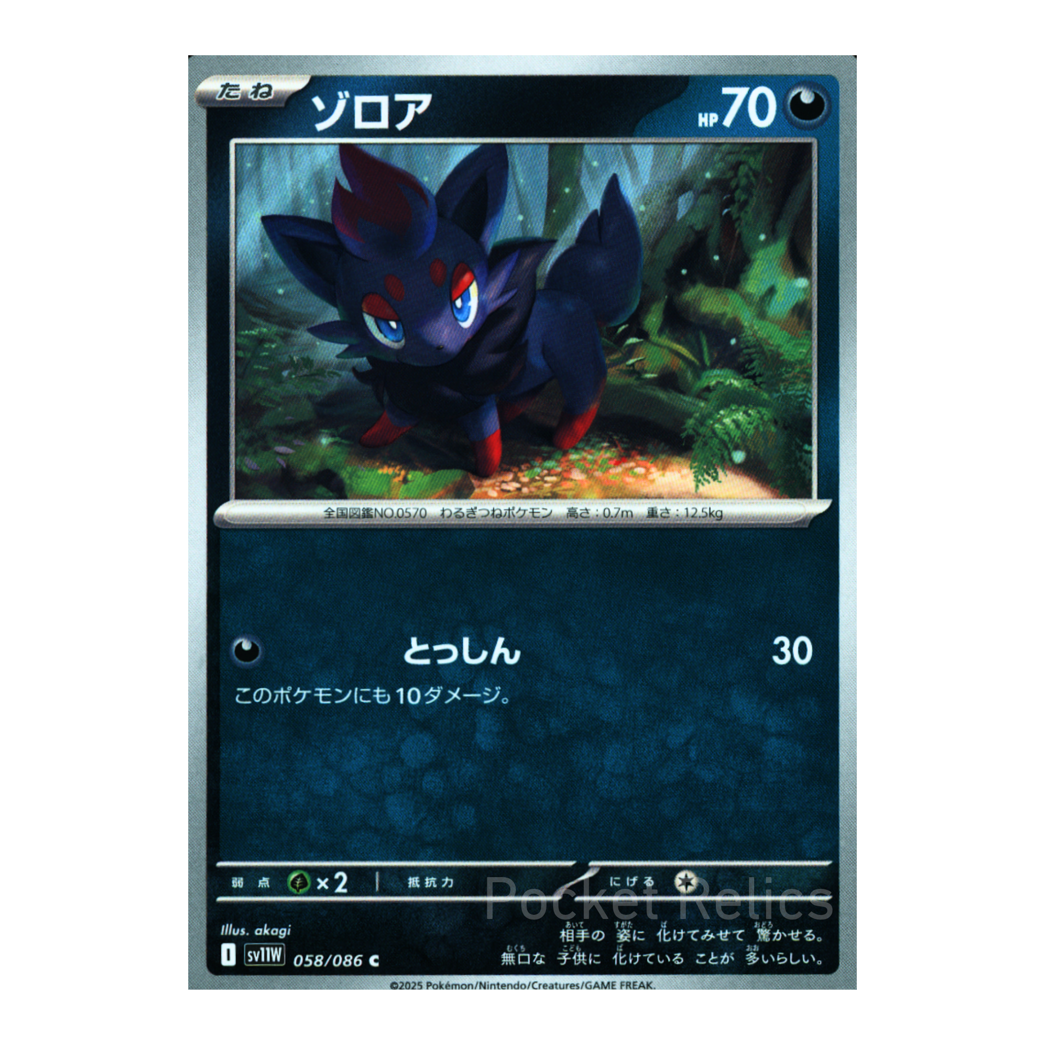 White Flare SV11w – Complete Normal Card Set - 86 Japanese Cards (Normal + RR)