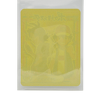 Ash & Gou - 2021 Holographic Sticker – Marumiya Sword & Shield Series #31 – Japan Exclusive Collectible