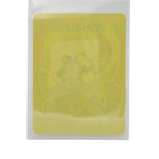 Cinderace & Gou - 2021 Holographic Sticker – Marumiya Sword & Shield Series #30 – Japan Exclusive Collectible