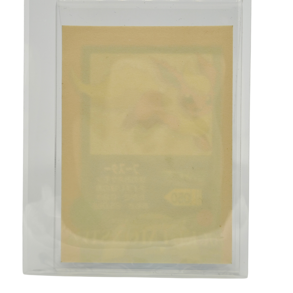Flareon - 2005 Collectible Vintage Sticker 050 – Japan Exclusive