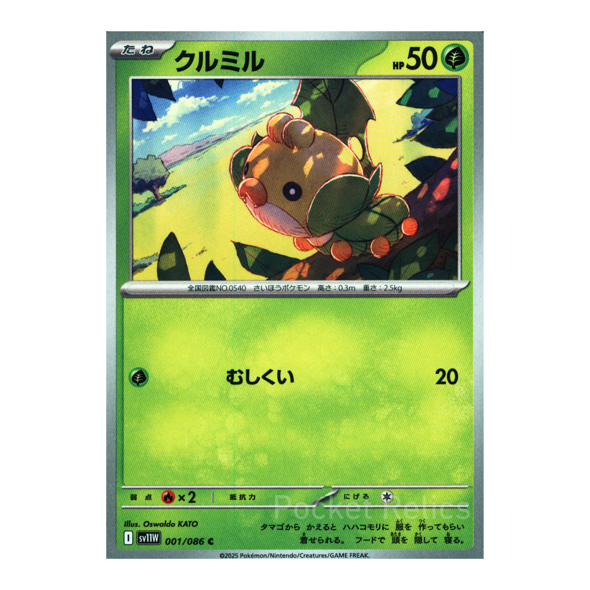 White Flare SV11w – Complete Normal Card Set - 86 Japanese Cards (Normal + RR)