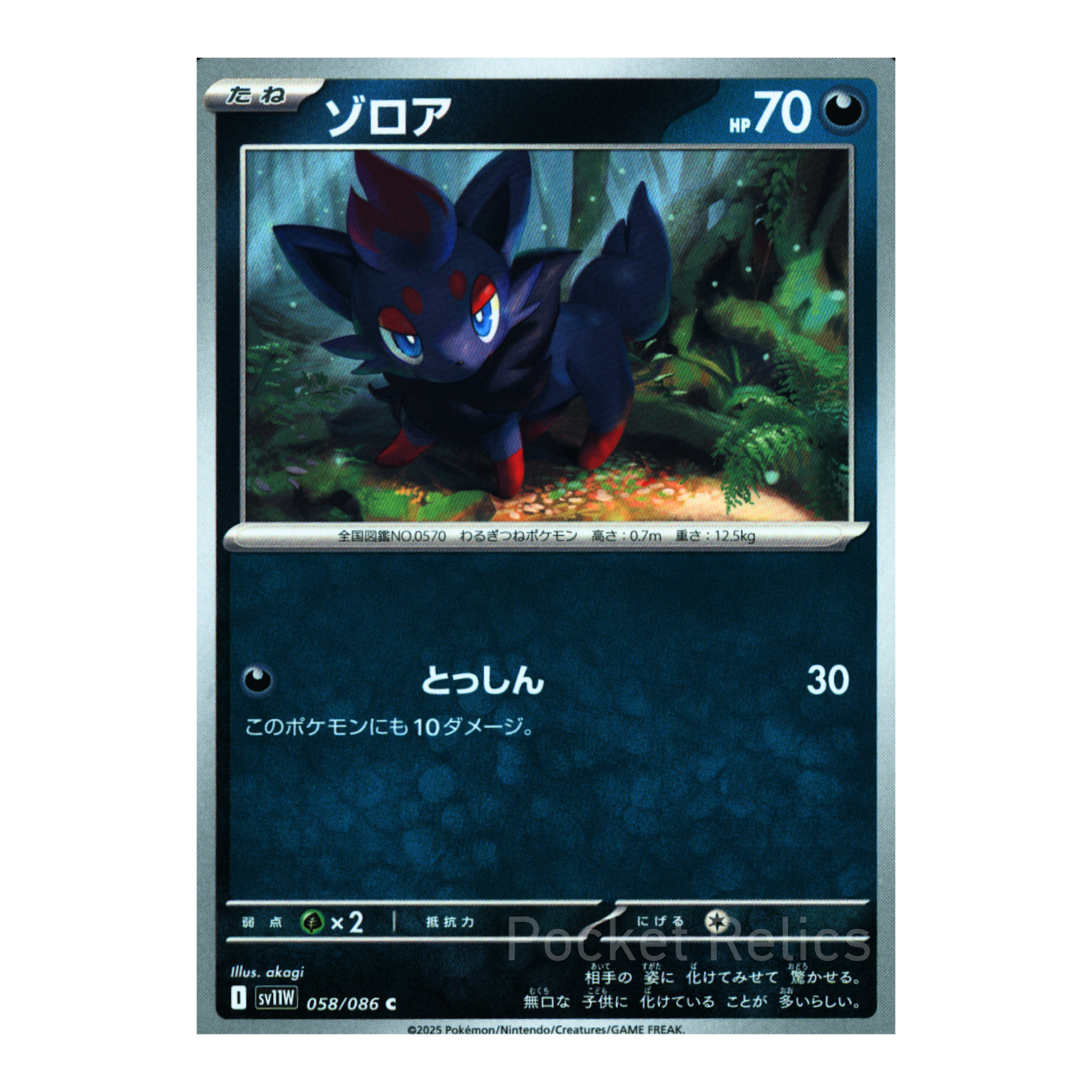White Flare SV11w – Complete Normal Card Set - 86 Japanese Cards (Normal + RR)