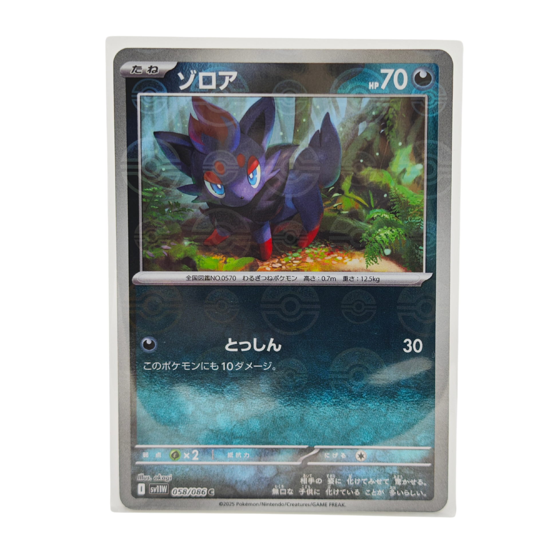 Zorua Poke Ball Reverse Holo 058/086 White Flare SV11W Japanese TCG Card