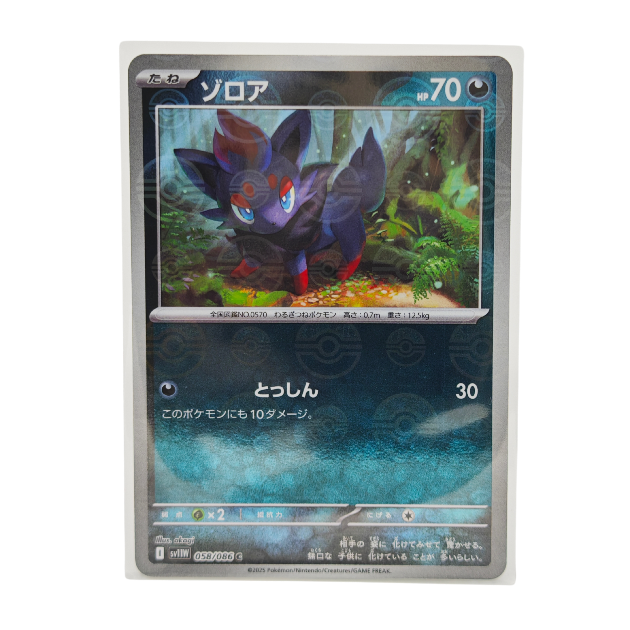 Zorua Poke Ball Reverse Holo 058/086 White Flare SV11W Japanese TCG Card
